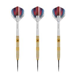 Click here to learn more about the Daryl Gurney Original Signature 90% Tungsten Steel Darts .