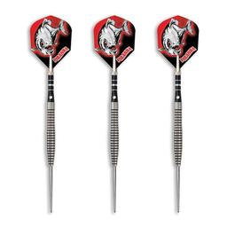 dart world
